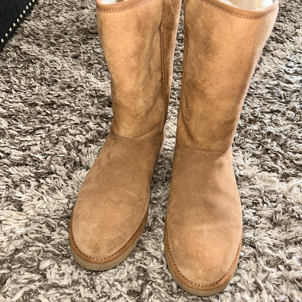 UGG Women's Chestnut Suede Winter Boots mid height